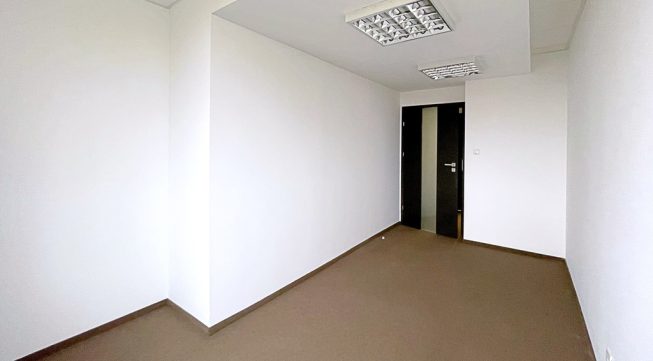 Obrazek numer 1741334