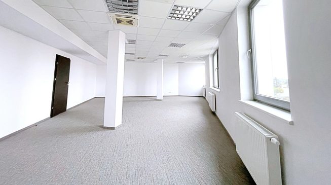 Obrazek numer 1741357