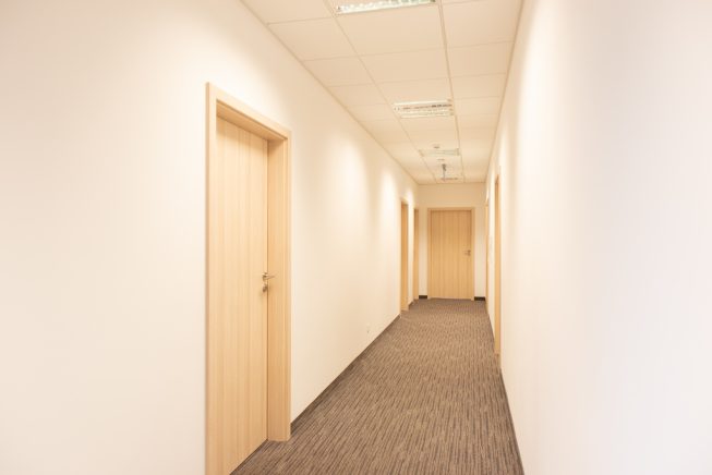 Obrazek numer 1724393