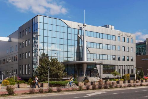 Obrazek numer 1287133