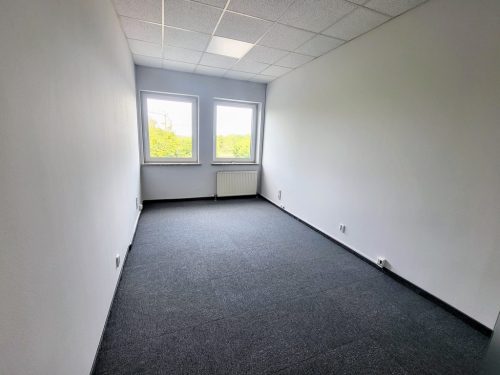Obrazek numer 1707262