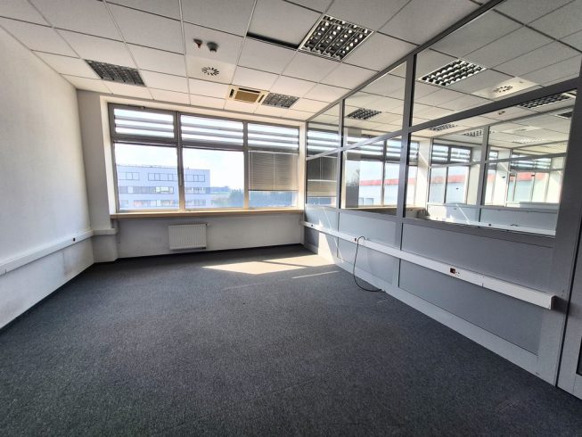 Obrazek numer 2375492