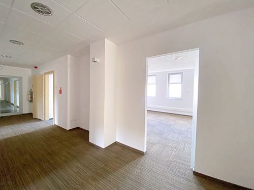 Obrazek numer 1740078