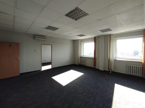 Obrazek numer 1756650