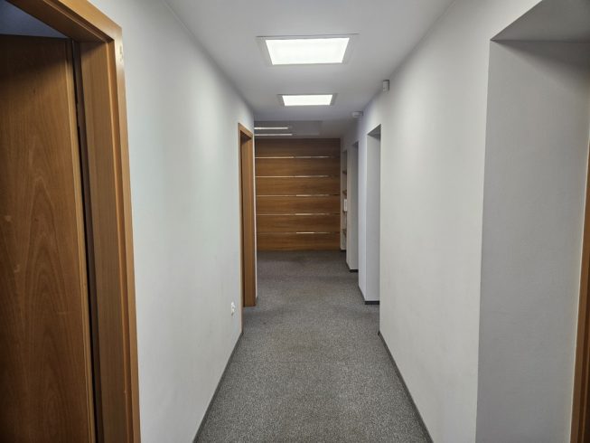 Obrazek numer 2059106