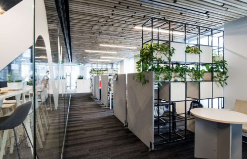 Obrazek numer 1672376