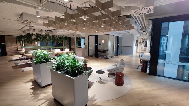 Obrazek numer 2101617