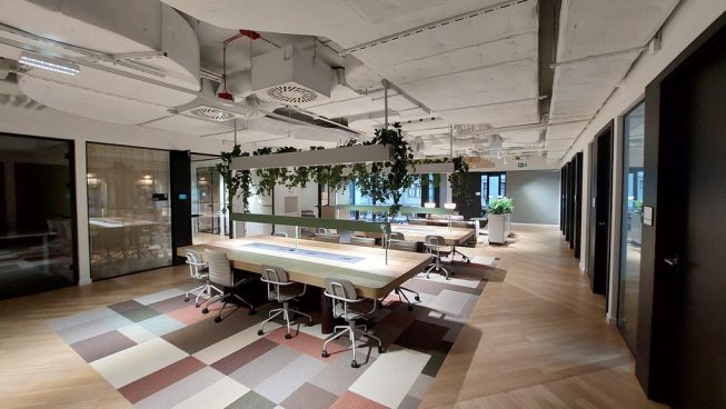 Obrazek numer 2101623