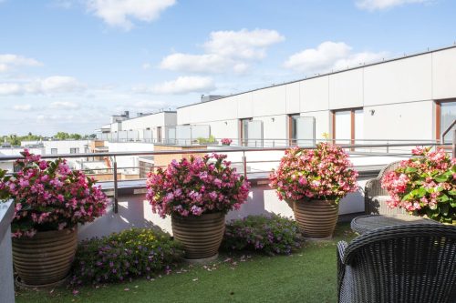 Obrazek numer 1529538