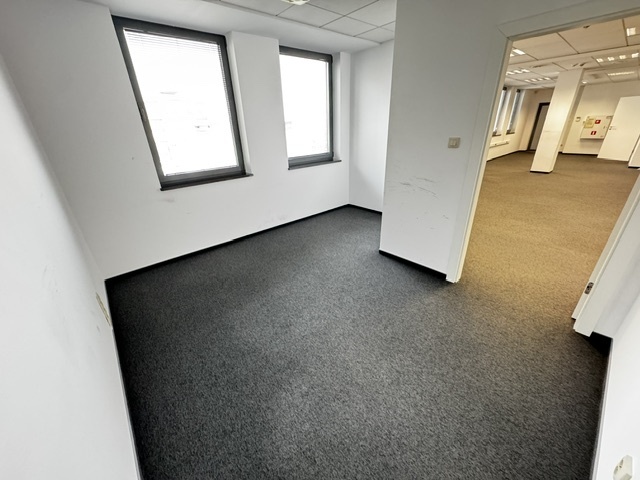 Obrazek numer 2092817