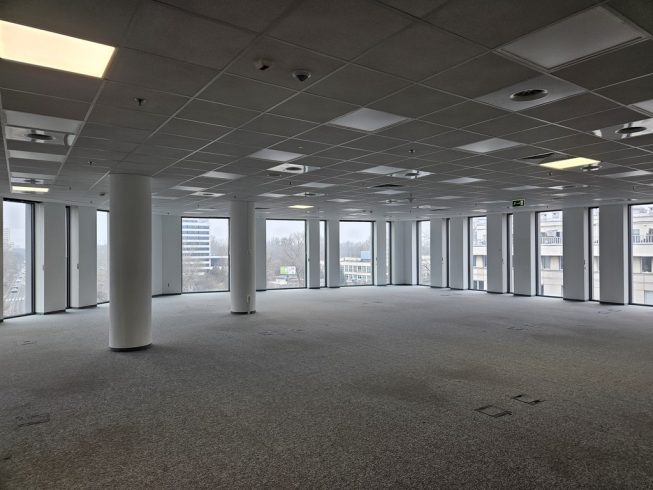 Obrazek numer 2086082