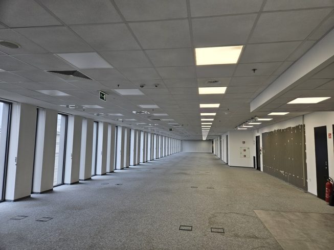 Obrazek numer 2086088