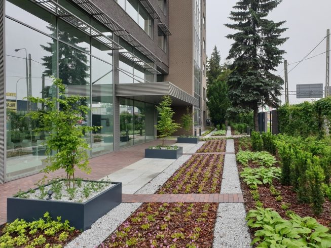 Obrazek numer 2106468