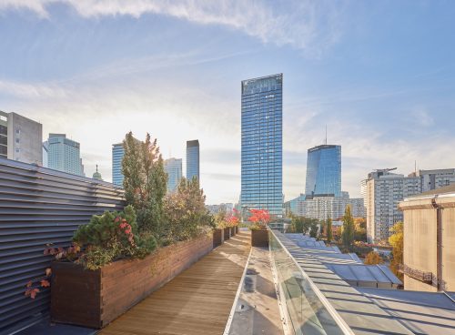 Obrazek numer 1555394