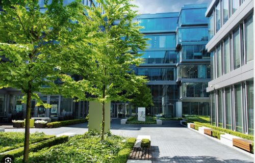 Obrazek numer 2108625