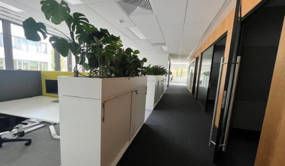 Obrazek numer 2110175