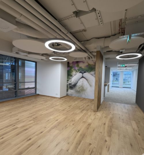 Obrazek numer 2109952