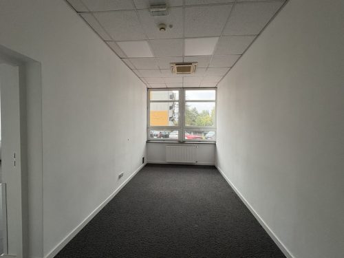 Obrazek numer 2085850