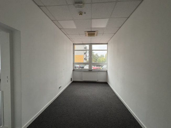 Obrazek numer 2085850