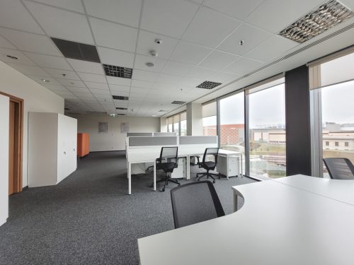 Obrazek numer 2103406