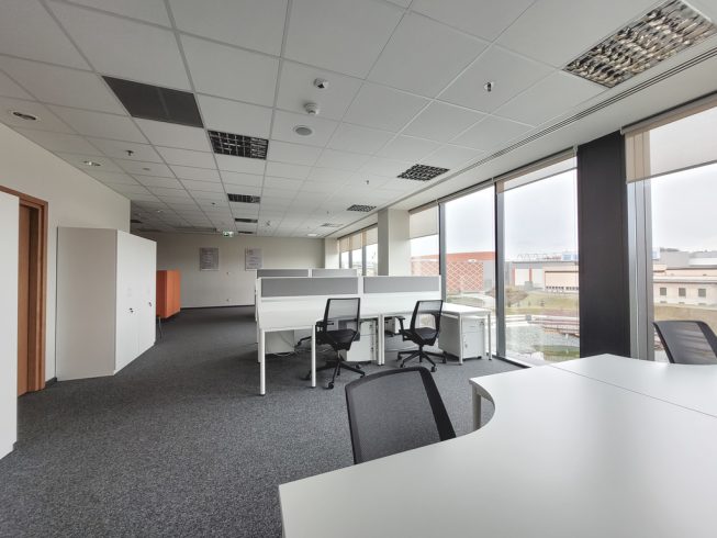 Obrazek numer 2103406