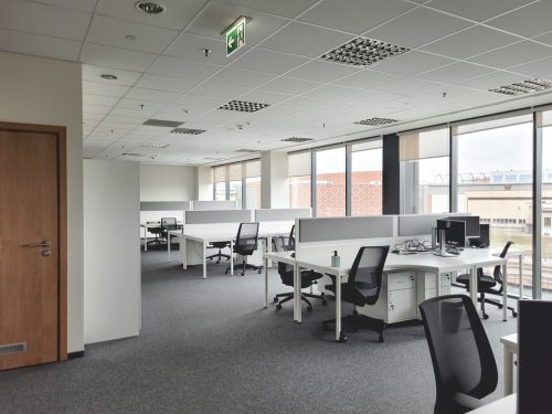 Obrazek numer 2103410