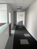 Obrazek numer 2369771
