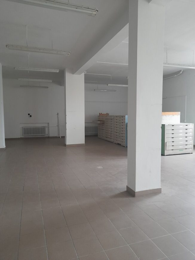 Obrazek numer 2388935