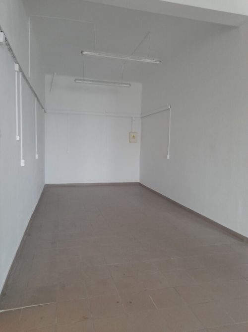 Obrazek numer 2388938