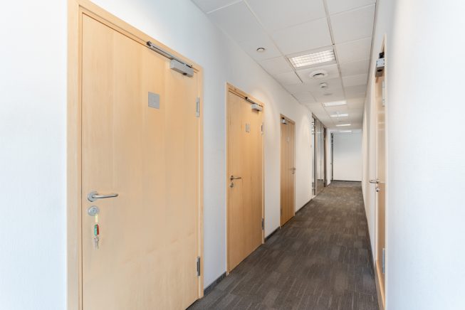 Obrazek numer 2444378