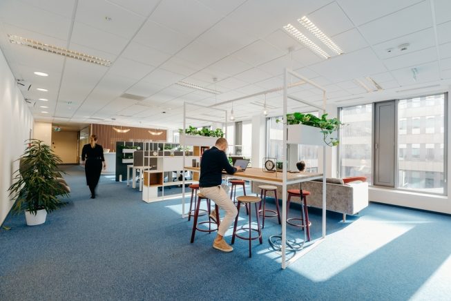 Obrazek numer 2461488