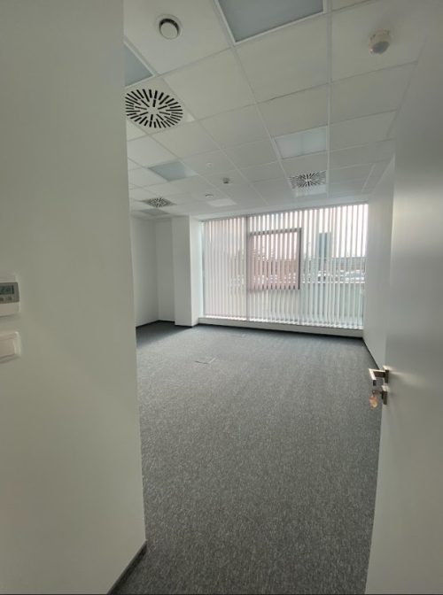 Obrazek numer 2490950