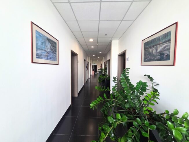 Obrazek numer 2688835