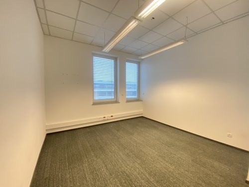 Obrazek numer 2484312