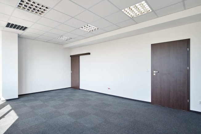 Obrazek numer 2533156