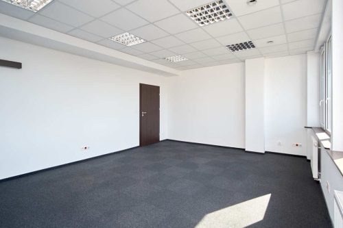 Obrazek numer 2533158