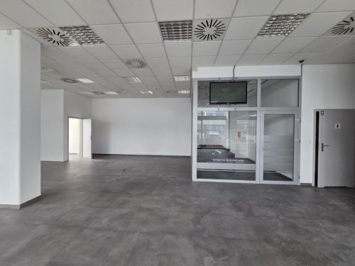 Obrazek numer 2517205