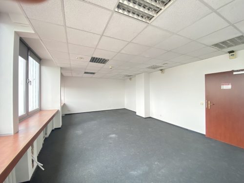 Obrazek numer 2531850