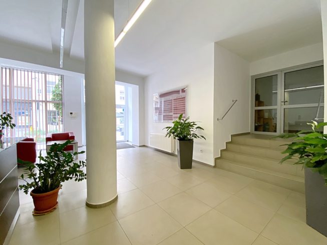 Obrazek numer 2490418