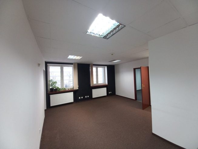 Obrazek numer 2480646