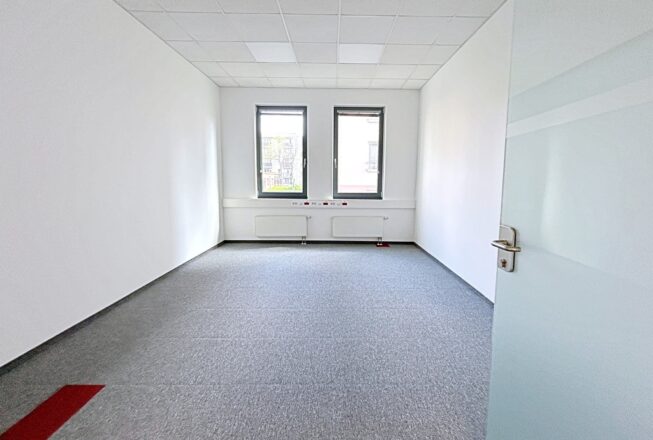 Obrazek numer 2711987