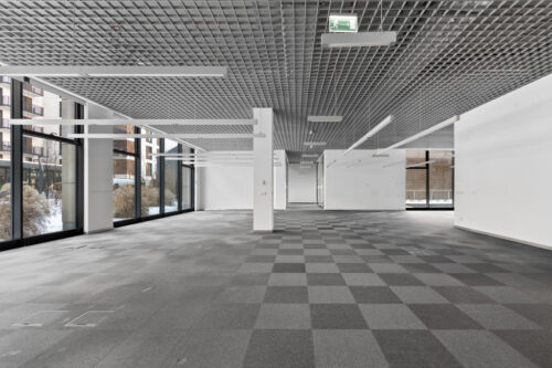 Obrazek numer 2316449