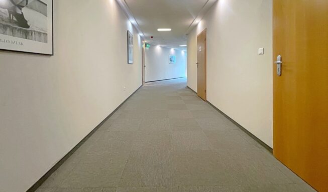Obrazek numer 2846420